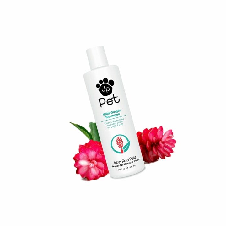 John Paul Pet Wild Ginger Shampoo for Dogs 473.2 ml